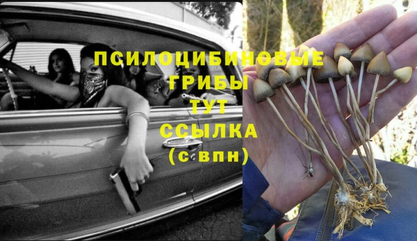 соль ск Алексеевка