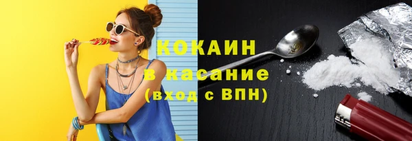 соль ск Алексеевка