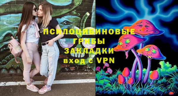 apvp Алзамай