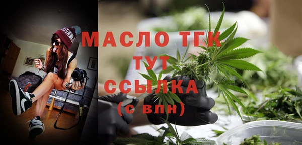 дмт Алексин