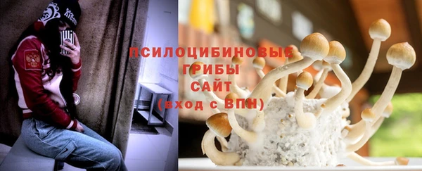 apvp Алзамай