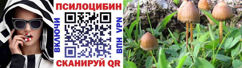 Псилоцибиновые грибы Psilocybine cubensis Нижняя Салда